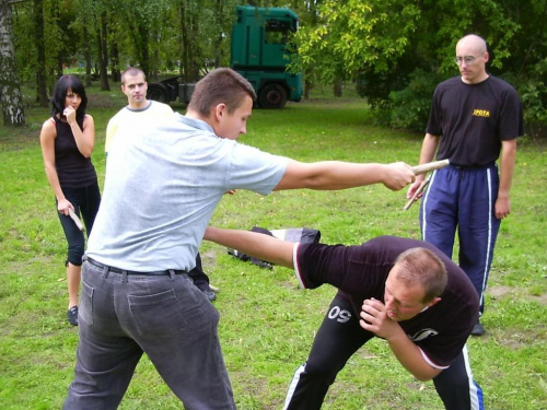 Dołączona grafika