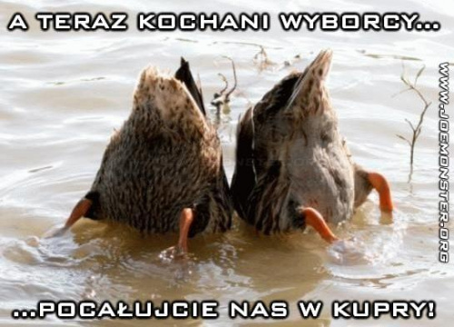 Obrazek