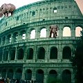 Colloseum