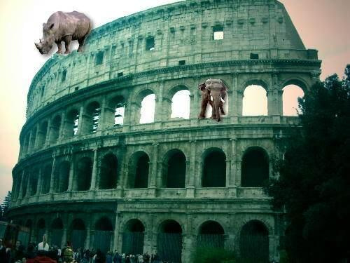 Colloseum