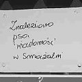 Smacznego!