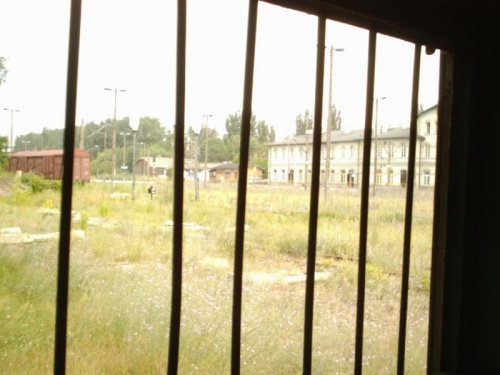 Widok z wagonu niczym z więźnia :-) #pkp #tomaszów