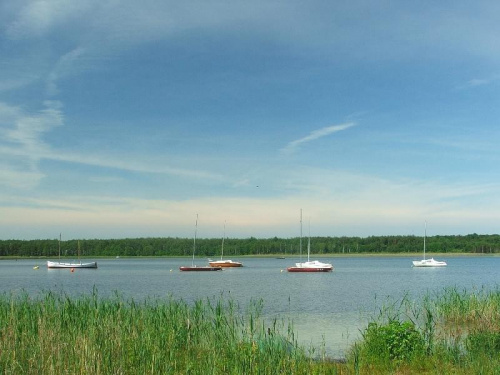 Jezioro Piaseczno #jezioro #Piaseczno