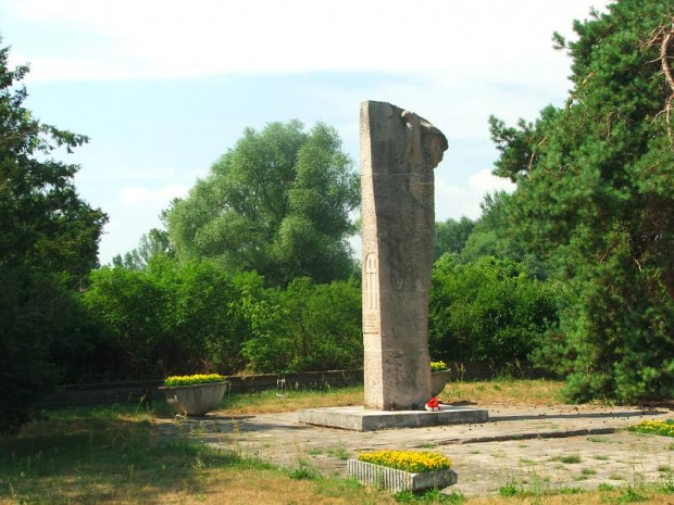 Pomnik "Wieczna Chwała Bohaterom przy szosie z Puław do Dęblina #pomnik #pomniki
