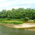 Wieprz koło Niebrzegowa #rzeka #Wieprz #Niebrzegów