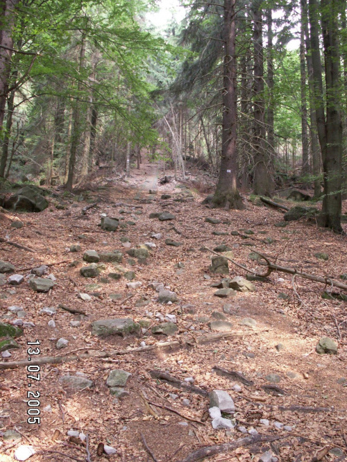 panorama okolicznych miejscowości