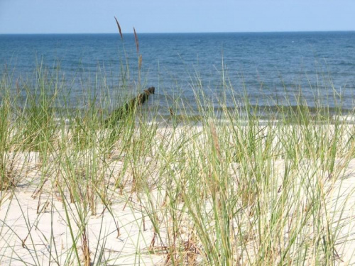 Chałupy - plaża widok z wydmy