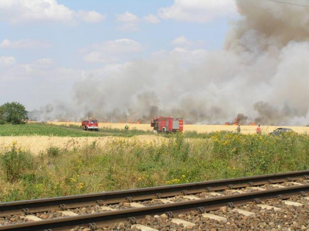 25.07.2006 Pożar zboża w miejscowośći Kopytów, Gmina Błonie, Powiat Warszawa-Zachód. Spaleniu uległo 23 hektary.