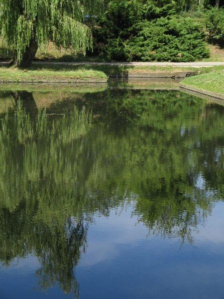 spacer do Doliny Marzeń #park #Toruń #widoki