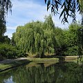 spacer do Doliny Marzeń #park #Toruń #widoki