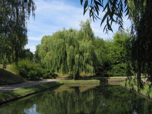 spacer do Doliny Marzeń #park #Toruń #widoki