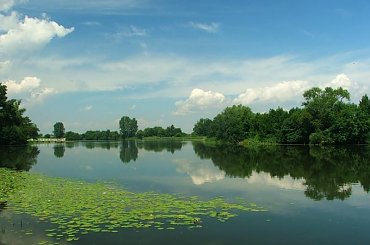 Sieciechów - Jezioro Czaple #Sieciechów #jezioro #Czaple