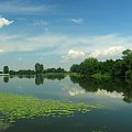 Sieciechów - Jezioro Czaple #Sieciechów #jezioro #Czaple
