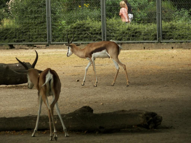 Zoo Krefeld #Zoo