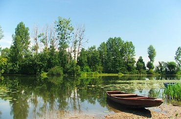 Sieciechów - Jezioro Czaple #Sieciechów #jezioro #Czaple