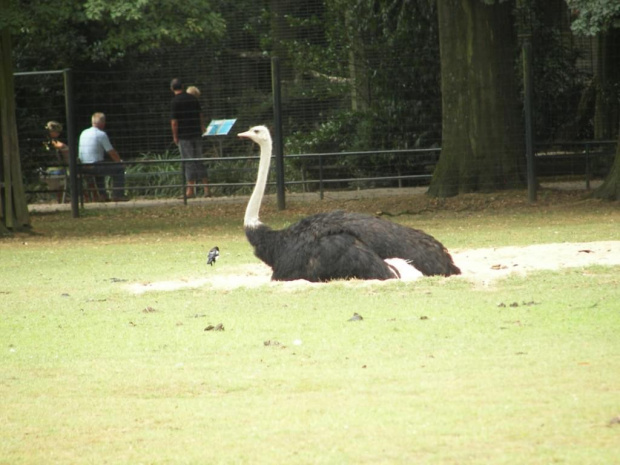 Zoo Krefeld #Zoo