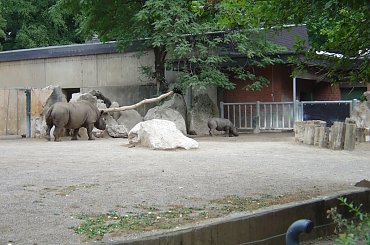 Zoo Krefeld #Zoo