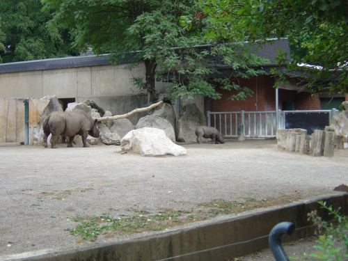 Zoo Krefeld #Zoo
