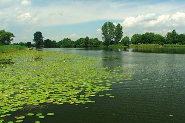 Sieciechów - Jezioro Czaple #Sieciechów #jezioro #Czaple