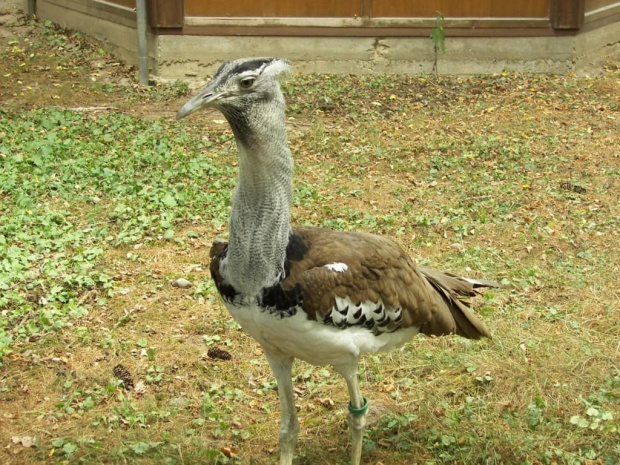 Zoo Krefeld #Zoo