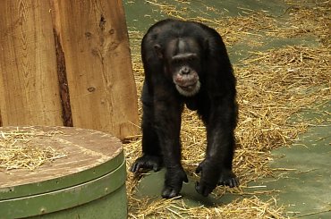 #Zoo