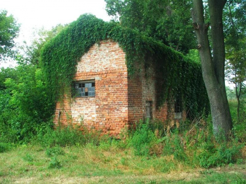 Głusiec - dziwny budynek #Głusiec #zabytek #zbytki #ruina #ruiny