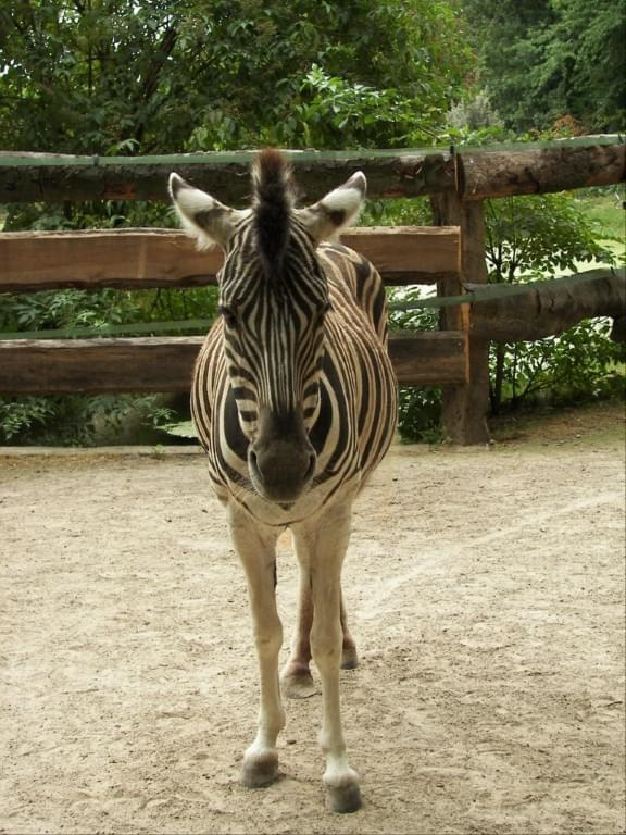 Zoo Krefeld #Zoo