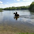 jez.Otomino #jezioro #koń #przyroda #woda