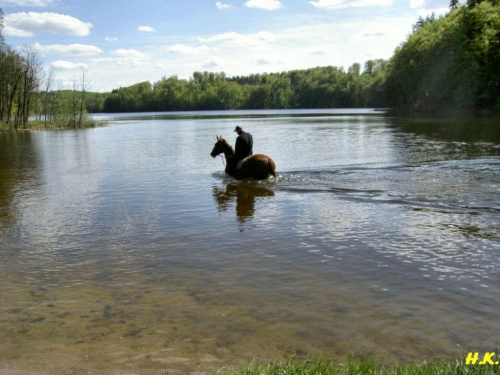 jez.Otomino #jezioro #koń #przyroda #woda