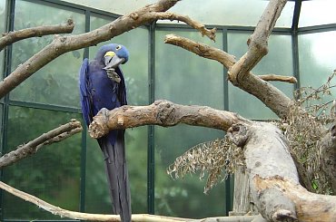 Zoo Krefeld #Zoo