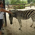 Zoo Krefeld #Zoo