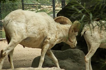 #Zoo