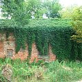 Głusiec - dziwny budynek #Głusiec #zabytek #zbytki #ruina #ruiny