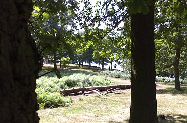 Zdjecie wykonane telefonem Nokia N70 06-08-2006 #Anglia #Leicester #NokiaN70 #N70 #Nokia