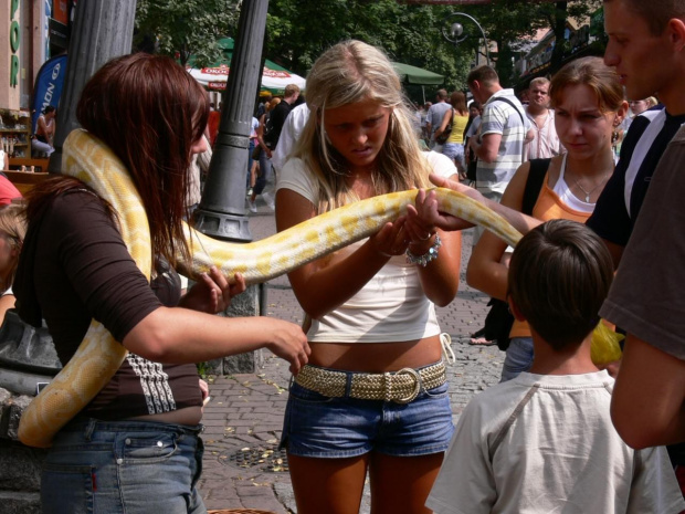 Za piątaka można pobawić się wężem. Największe zainteresowanie wczasowiczek.