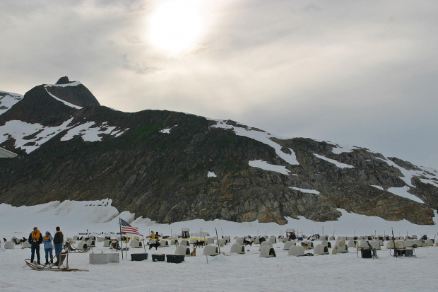 Dog Sled Camp at Juneau Glacier Allaska