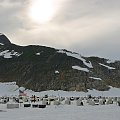 Dog Sled Camp at Juneau Glacier Allaska