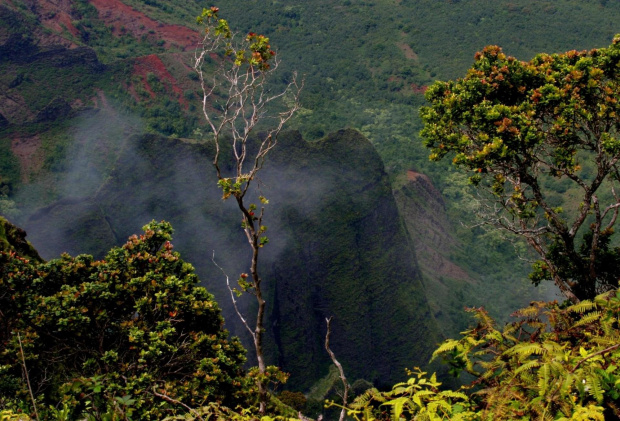 Kauai Island, Hawaii