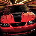 Mustang ;]