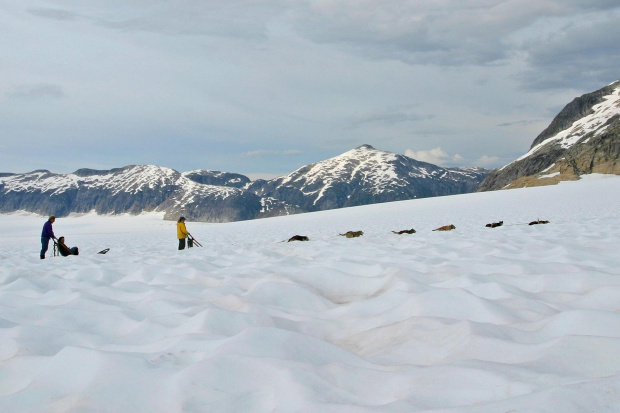 Dog Sled Camp at Juneau Glacier Allaska