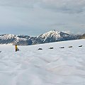 Dog Sled Camp at Juneau Glacier Allaska