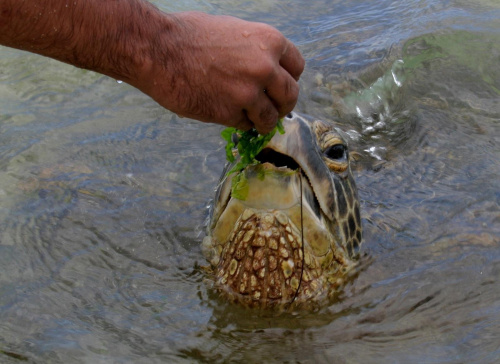 Kauai Island, Hawaii