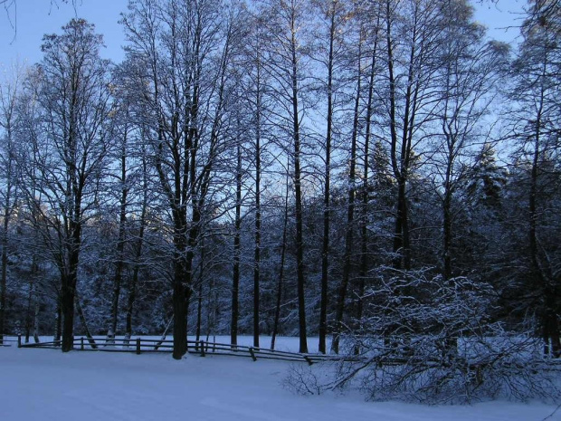 Zima w Górach Świętokrzyskich