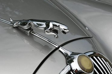 #Wystawa #ZlotStareAuta #Oldtimer