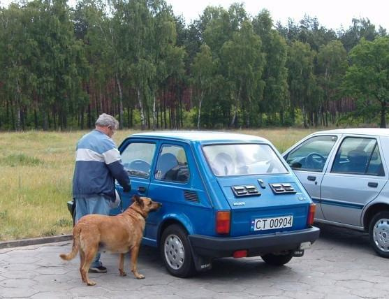 brat ,jego duży pies i jego mały samochód #brat #JegoDużyPies #JegoMałySamochód