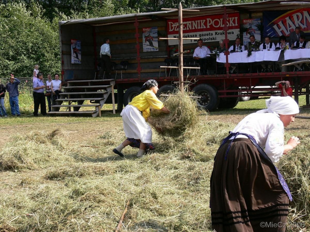 Nojśwarniyjsa Górolecka 2006