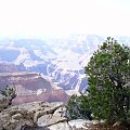 Arizona 12-08-2006
