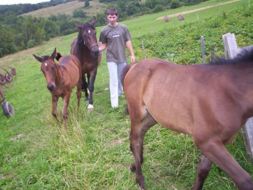 BIESZCZADY