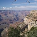 Arizona 12-08-2006
