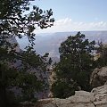 Arizona 12-08-2006
